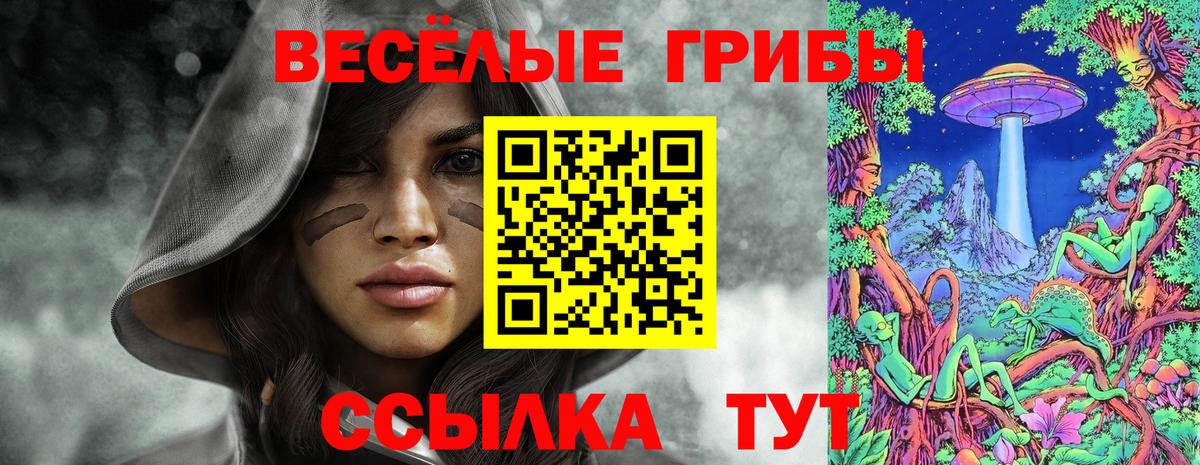 Галлюциногенные грибы Psilocybe Рассказово